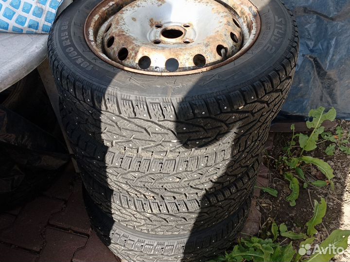 Kormoran Stud 2 4/6 R6 20B