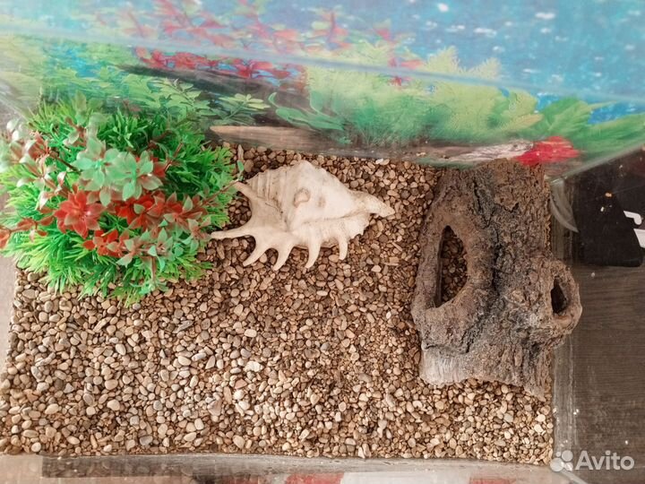 Продам аквариум