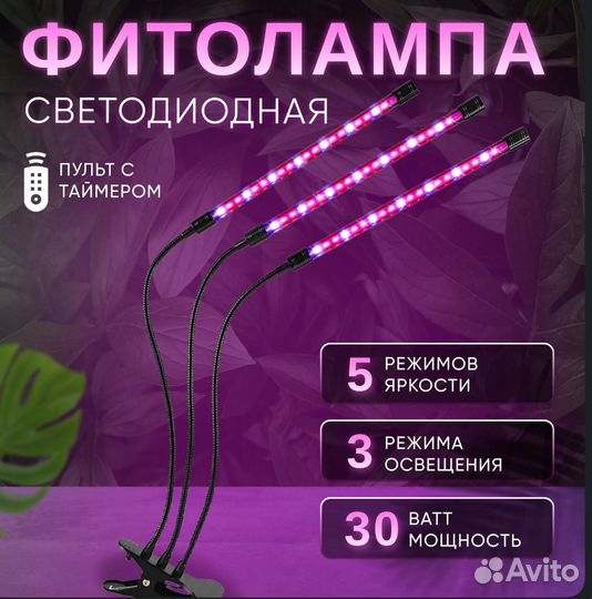 Фитолампа, лампа для рассады