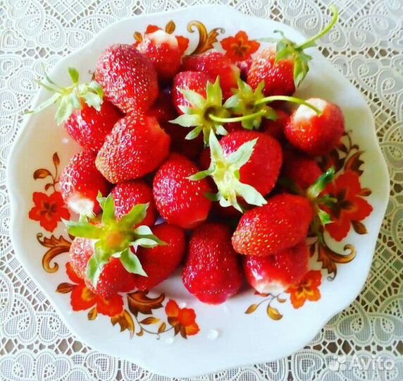 Клубника (рассада)