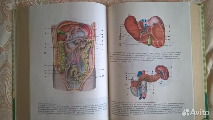 Популярная медицинская энциклопедия