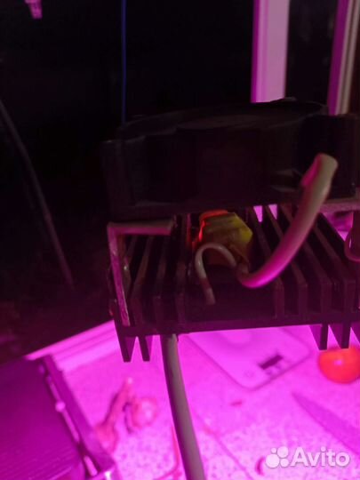 Фитосветильник для рассады