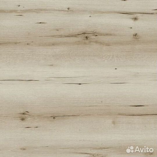 51955 Дуб Астро, планка 33 класс