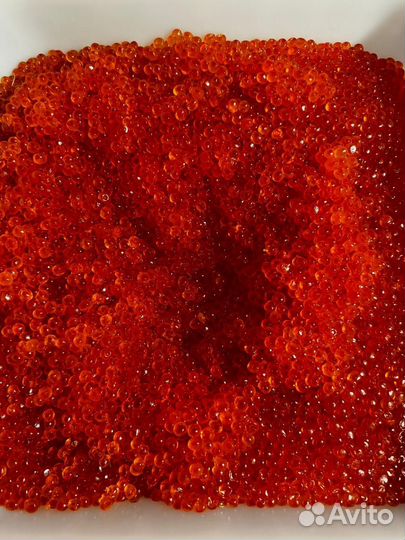 Красная икра форель натур. Опт Кета
