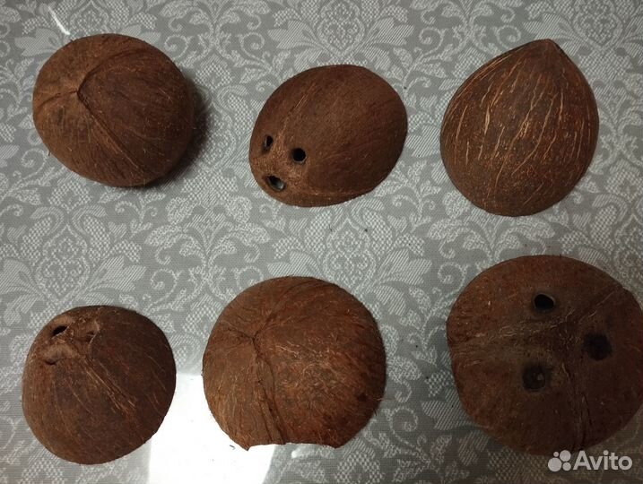 Кокосовая скорлупа