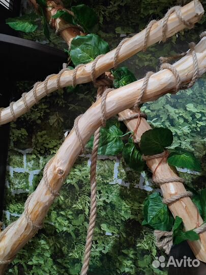 Террариумы под ключ