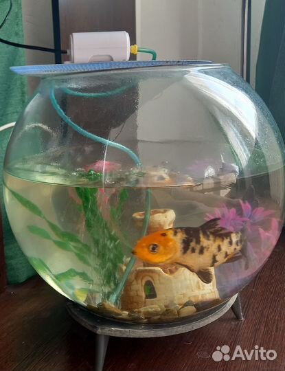 Продам аквариум
