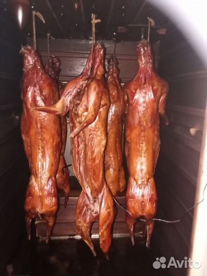 Коптильня горячего и холодного копчения +суш/вялка