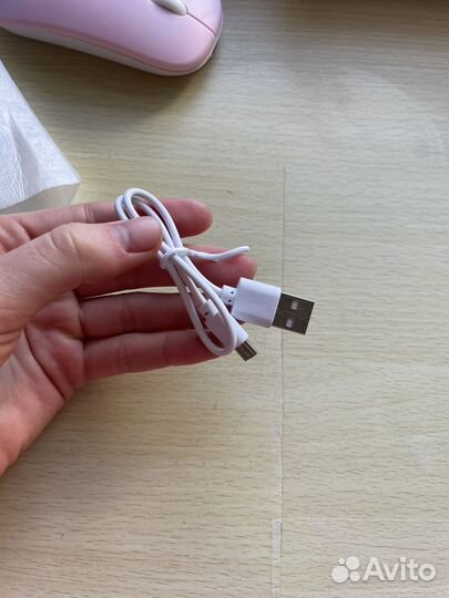 Мышка для компьютера