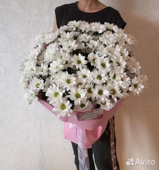 Хризантема