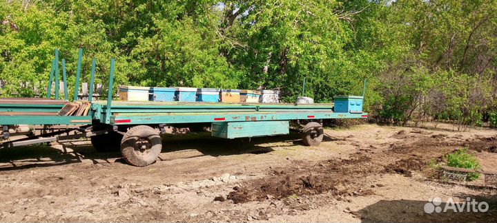 Пчелопавельен