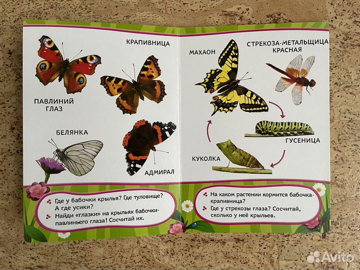 Насекомые. Серия всё-всё-всё для малышей. Росмэн