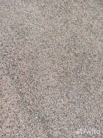 Отходы пшеничные