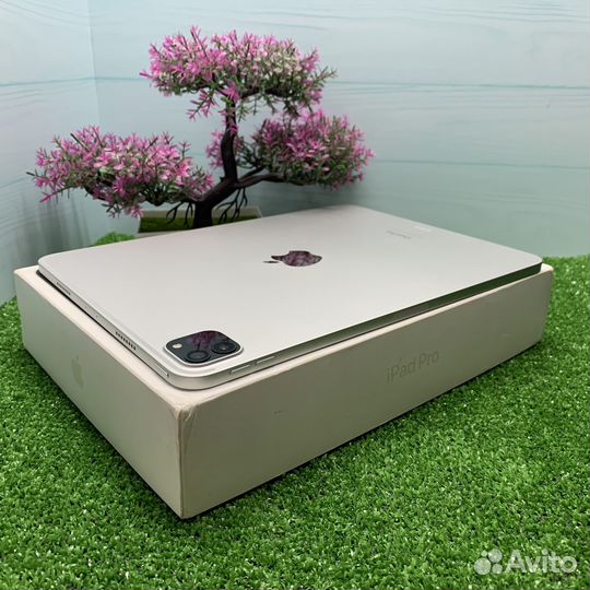 Apple iPad Pro 11 (4-gen) 256gb/M2