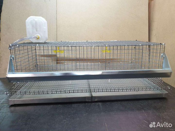 Клетки для перепелов