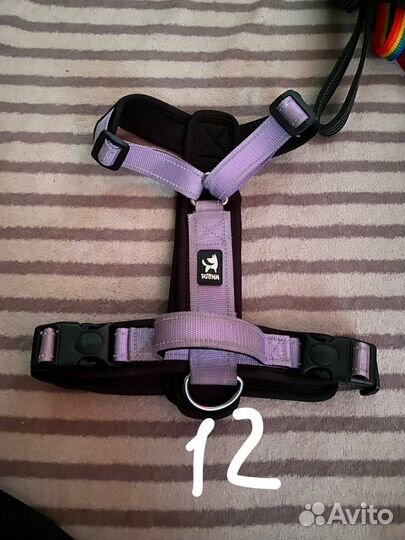 Амуниция для собак