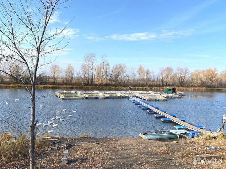 Садок для выращивания рыбы