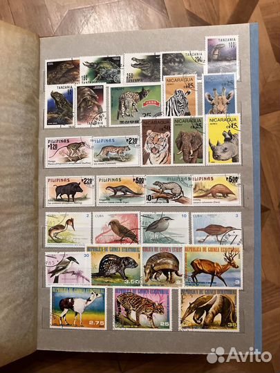 Альбомы с марками животные
