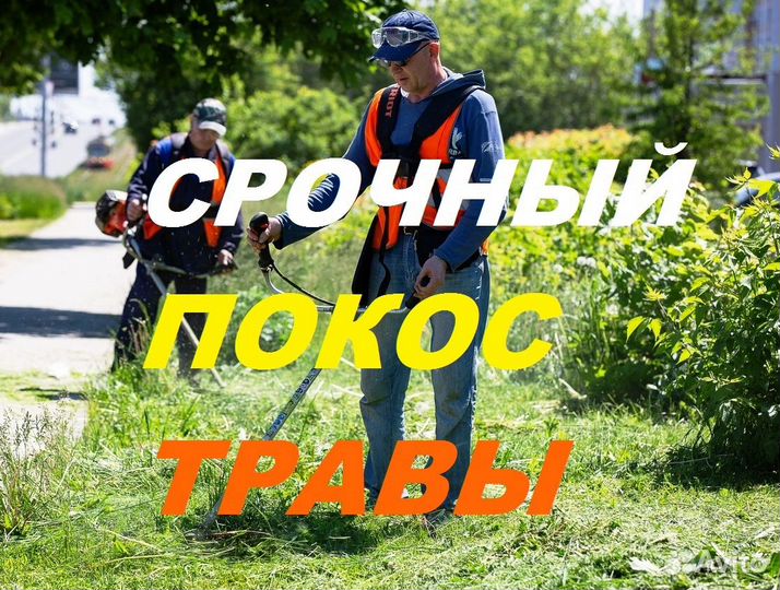 Покос травы