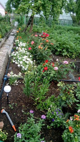 Дача 39,2 м² на участке 6 сот.