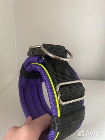 Ошейники для собак