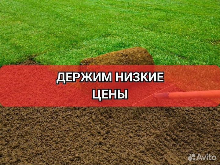 Укладка газона