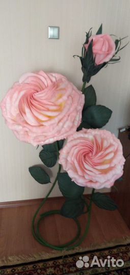 Ростовые цветы