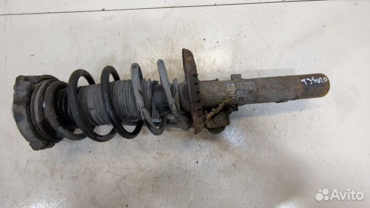 Амортизатор подвески Skoda Roomster, 2008