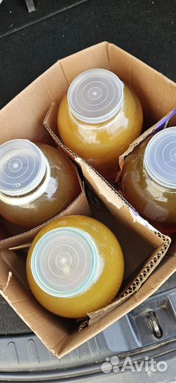 Продаю цветочный мёд