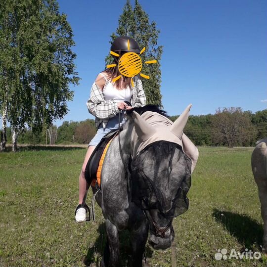 Конные прогулки