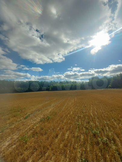 Участок 15 га (СНТ, ДНП)