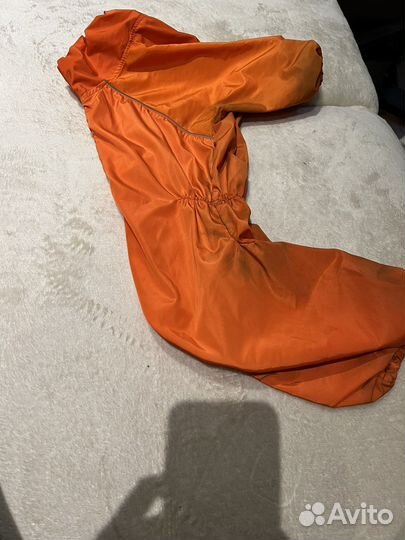 Товары для собаки