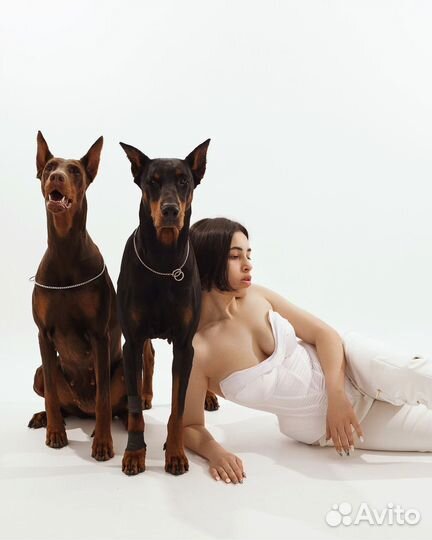 Аренда фотостудии