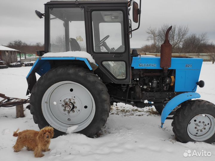 Трактор МТЗ (Беларус) 82, 2006
