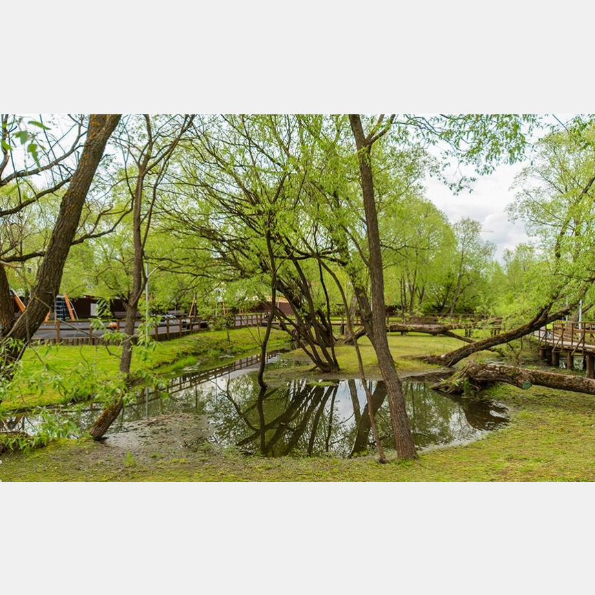 2-к. квартира, 70 м², 11/19 эт.