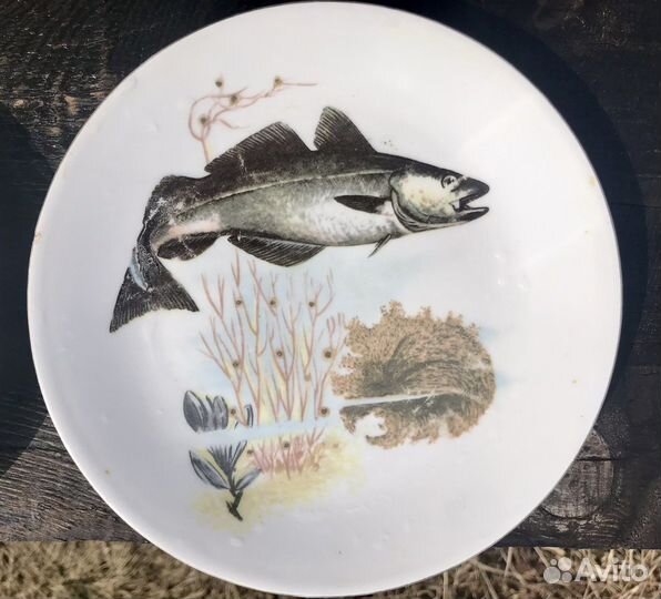 Тарелки гдр kahla