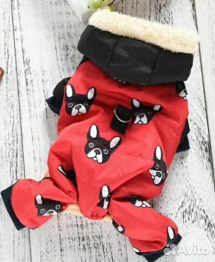 Шубка зимняя для французского бульдога. Мальчика