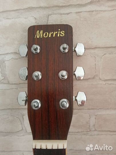 Акустическая гитара Morris W30