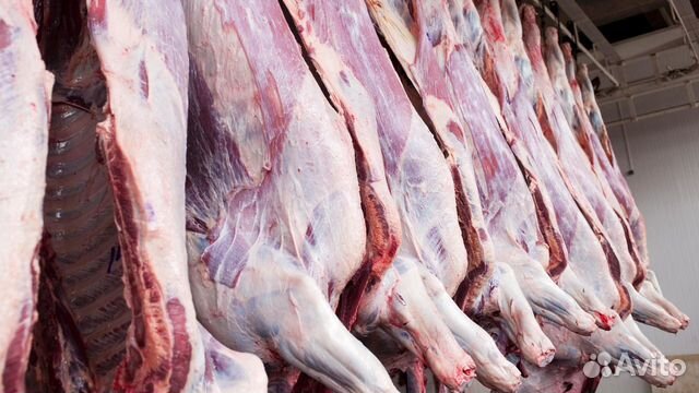 Как снять пленку с мяса говядины Оптово-розничная торговля мясом говядины купить в Санкт-Петербурге Животные и зо