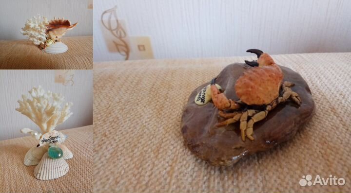 Морской Коралл с ракушками, Краб на камне