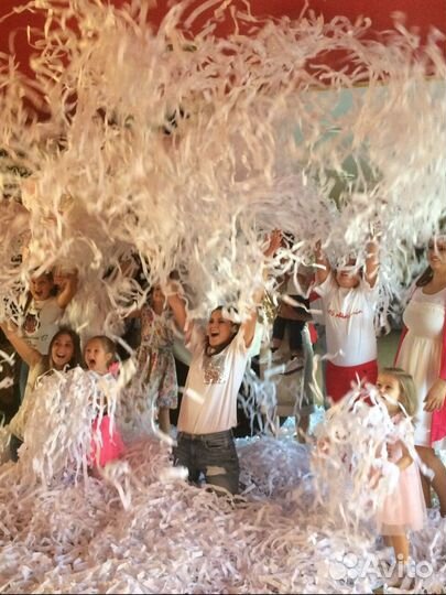 Организатор мероприятий