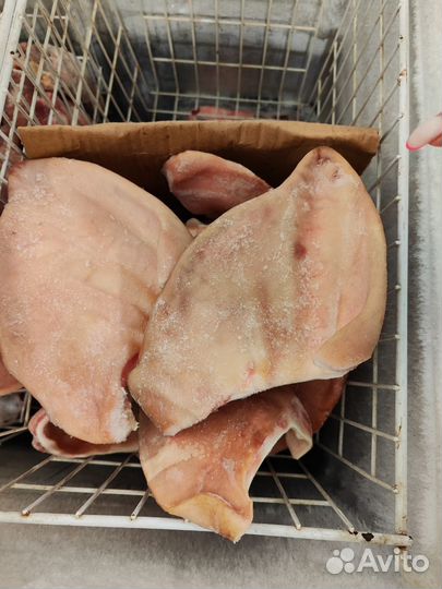 Свинные уши для собак