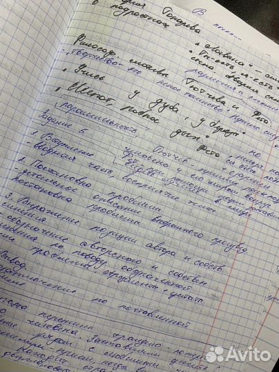 Напишу сочинение