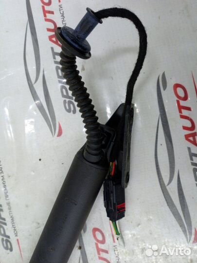 Амортизатор двери багажника задний левый Genesis