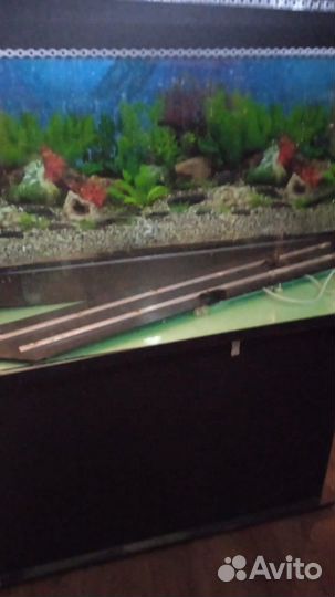 Аквариум