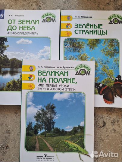 Зелёные страницы. Книга для начальных классов