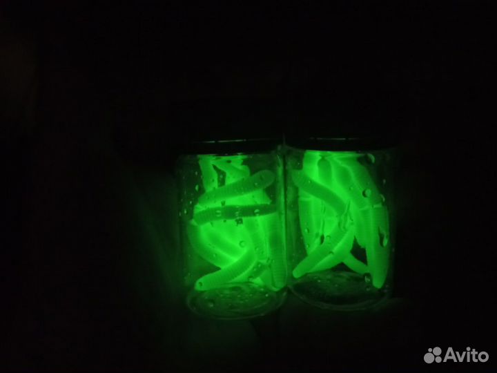 Светонакопительные форелевые приманки либра 2 шт