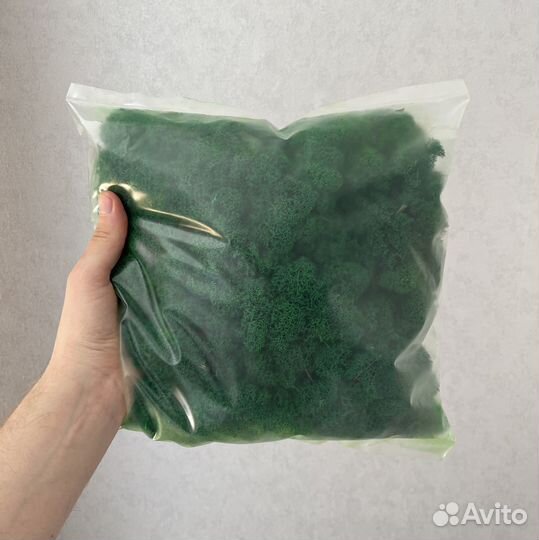 Стабилизированный мох, 1 кг, цвет Тёмно-зелёный