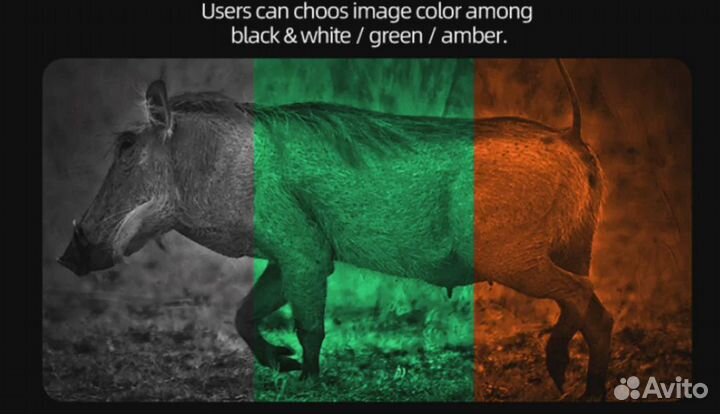 Цифровой бинокль ночного видения Arkon NVD B36G