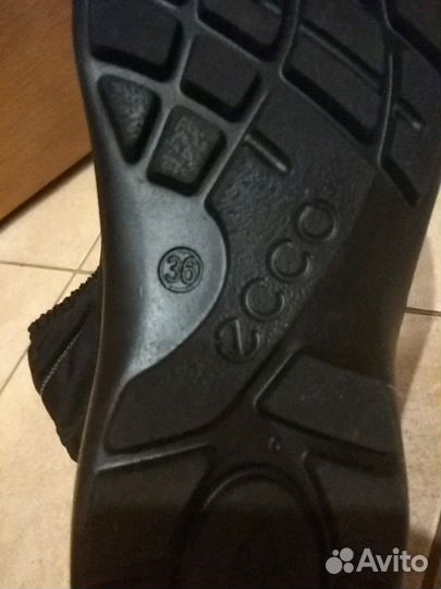 Сапоги Экко Ecco 35-36р